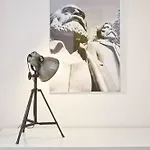 Old Town Zehdenicker Strasse Hotel *